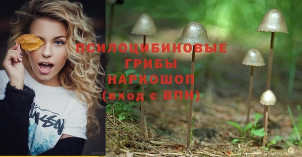 кристаллы Абаза