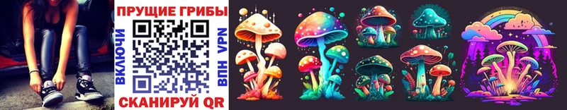 Псилоцибиновые грибы MAGIC MUSHROOMS Никольское